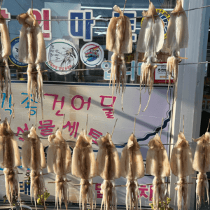삼척항 회센터 마른오징어